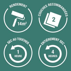 Peinture Bleue R&eacute;sistante &agrave; l'humidit&eacute; pour Jardins,Finition Satin&eacute;e-Bleuet 750ml - Neuf