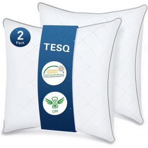 Kalanka-Oreiller 60x60 Cm Lot De 2, Qualit&eacute; H&ocirc;teli&egrave;re De Luxe Oreiller Lot De 2 Oreillers Confort Moelleux, Respirant Et Hypoallerg&eacute;nique Certifi&eacute; Oeko-Tex, Adapt&eacute; &Agrave; Toutes Les Positions De Sommeil - Neuf