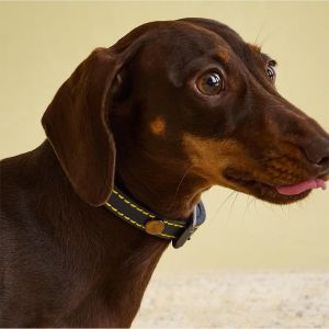 Chenquansarl-Rosewood Collier Pour Chien En Cuir Bleu Marine, Taille S - Neuf