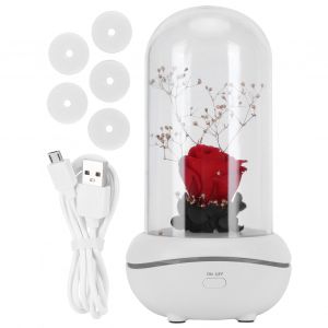 HJLIAN Lampe LED parfumee, diffuseur d'huiles essentielles, veilleuse, decoration de bureau, chambre a coucher - Neuf
