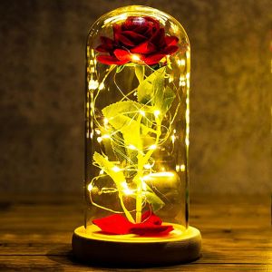 Cadeau Noel Femme Rose Eternelle sous Cloche Coffret Cadeau Femme La Belle et la B&ecirc;te D&ocirc;me en Verre avec Lumi&egrave;re LED Cadeau Anniversaire Maman Mamie Couple Belle Mere Nounou Amie Copine Noel Mariage - Neuf