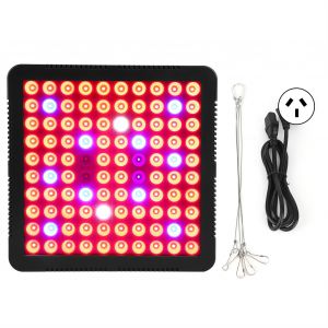 HJLIAN Lampe de culture a spectre complet 300 W, 100 LED, panneau LED, prise 85-264 VAU - Neuf