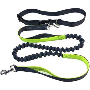 Kalanka-Gris Laisse Chien Mains Libres, Ceinture R&eacute;glable Et &Eacute;lastique R&eacute;tractable Pour Jogging, Avec Coutures R&eacute;fl&eacute;chissantes (Poign&eacute;e Vert) - Neuf