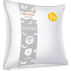 Kalanka-Oreiller Plume 60x60 - Coussin De Luxe 60x60 Cm En Duvet Et Plumes Naturelles, 1000g De Confort Moelleux Et Ergonomique Oreiller Pour Un Soutien Parfait Et Des Nuits Douces Et Agr&eacute;ables - Neuf