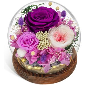 Rose &Eacute;ternelle, Cadeaux de No&euml;l pour Elle Verre avec Boule de Cristal Lumineuse Rose Violette Pr&eacute;serv&eacute;e Infinie Fleur Eternel pour Femme Maman Petite Amie Epouse Violette - Neuf
