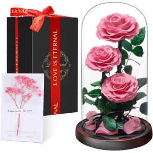 No&euml;l Cadeaux pour Femmes - Rose &Eacute;ternelle sous Cloche, Naturelle Fleur Eternelle Cadeau, Id&eacute;e Boite Rose Eternel, Cadeau pour la Saint-Valentin, Anniversaire, Femme,Copine,Amie,Maman,Grand Mere - Neuf
