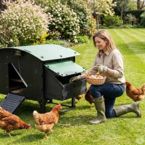 Poulailler Sur Pieds En Plastique Recycl&eacute; 8 &Agrave; 15 Poules - Neuf
