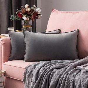 Eryi-Housse De Coussin En Velours Décorative Canapé Bordure Taie D'oreiller Super Doux Decoration Maison Salon Chambre Pour Canapé Clic Clac 30 X 50 Cm 12""X20"",2 Pièces Gris Clair - Neuf