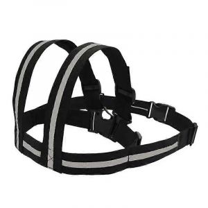 Harnais De Sécurité Pour Moto Pour Enfant Harnais De Sécurité Pour Enfant Réglable Ceinture De Sécurité Passager Pour La Conduite À Moto Très - Neuf