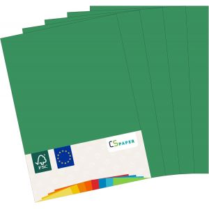 Checarzhn--No1-Made In Eu 200 Feuilles De Papier De Couleur Vert Sapin A4 80 G/M² Cs Paper - Papier Pour Imprimante, Papier À Copier, Papier Universel Pour Imprimer, Bricoler & Plier Au Format A4 - Neuf