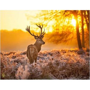 Ayuhr-Peinture Diamant 50 X 40 Cm Cerf Chevreuil Coucher De Soleil Diamond Painting Animaux Diamond Painting Paysage Diamant Peinture Broderie Point De Croix Images Cadeau Décoration Murale - Neuf