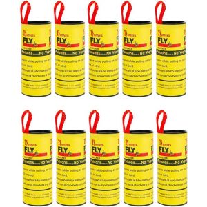 Chenquansarl-10 Pièces Pièges À Mouches, Tueur De Mouches Non Toxique De Qualité Supérieure Pour Mouches Des Fruits, Rouleaux De Piège À Mouches, Moustiques Et Mites, Bandes De Piège À Mouches Pour U - Neuf