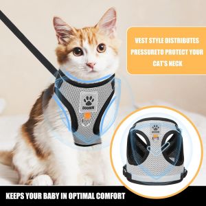 Subzonal-Harnais Chat Petit Chien, Laisse Harnais Chaton, Harnais Chaton R&eacute;fl&eacute;chissant, Collier Harnais Et Laisse En Maille, Gilet De S&eacute;curit&eacute; Souple Pour Chat - Neuf