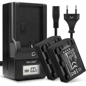 Batterie pour Caméra, Compatible avec Sony NP-FH50, NP-FH60, DCR-SR35, DCR-SX30 (7.4V, 700mAh) 2 Pièces + Chargeur - Neuf