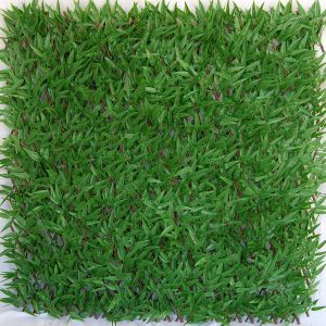 Mevronisshop-Tenax Divy 3d X-Tens Bamboo 1,00x2 M Vert, Treillis Extensible En Bois Naturel Recouvert De Feuilles De Bambou, Brise-Vue Pour Balcons Et Terrasses, D&eacute;coration De Murs - Neuf