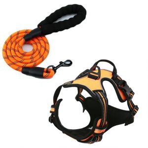 Harnais Réfléchissant Anti-Traction Pour Chien Avec Laisse, Idéal Pour L'entraînement En Extérieur - Neuf