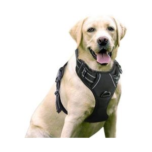 Harnais Comfort Fit Anti-Traction Pour Chiens De Grandes Races - Réglable, Rembourré, Facile À Utiliser, Idéal Pour L'entraînement Et La Promenade - Neuf