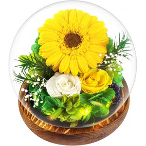 Mother's Day Gift,Gifts for Women-Eternal Flower Under Bell with LED Pine Base and Greeting Card,Natural Sunflowers Gift for Women,Mom,Mother,Grandma,Thank You Gifts - Neuf