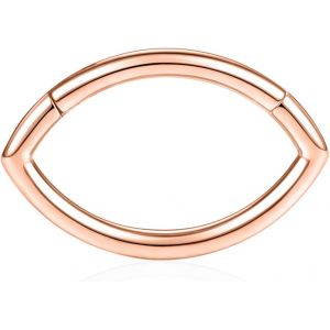 Kal-Boucles D'oreilles 16 G En Acier Inoxydable Pour Septum, Daith, Rook, Tragus, H&eacute;lix, Cartilage, Lobe Septum, Bijoux Serpent, Pyramide, Fl&egrave;che, &Eacute;toile, Anneau Segment&eacute; &Agrave; Charni&egrave;re - Neuf