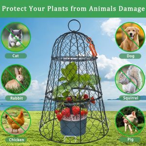 ASFASFq-Lot de 6 housses de protection en fil de fer pour plantes, 45 cm x 29 cm, antirouille et robuste, avec piquets et étiquettes, cloches de jardin modulaires pour semis, fleurs, légumes, protége - Neuf