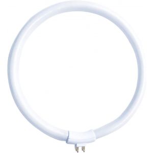Sjzg-Lampe Fluorescente T4 22 W/865, Blanc Froid 6500 K, Lumi&egrave;re Du Jour G10q, Convient &Agrave; L'ext&eacute;rieur, 4 Broches - Neuf