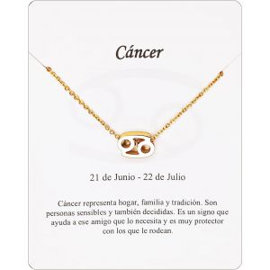 Kal-Collier Signe Du Zodiaque En Acier Inoxydable Belle Carte Signification Signe Du Zodiaque Pendentif Horoscope Pour Femme Ou Homme Cadeau Anniversaire - Neuf