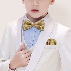 Barry.Wang Soie Pré-Attaché Garçon Enfants Noeud Papillon Hanky Ensemble Jacquard Papillon Teenger Or Bleu Rouge Vert Sarcelle Rose Violet Noeud Papillon - Neuf
