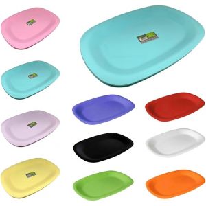 Checarzhn--No1-Lot De 2 Plateaux De Service Réutilisables En Plastique Idéal Pour Les Pique-Niques Et Les Fêtes, Extrêmement Durables (Turquo ) - Neuf