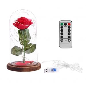 HJLIAN 20 LED 8 modes USB Rose Fleur Base Cadeau Saint Valentin Mariage avec Telecommande Marron - Neuf