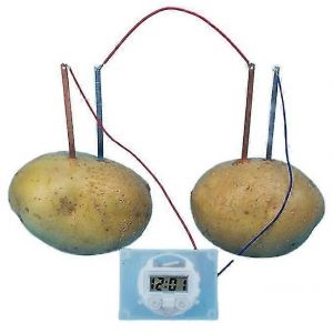 Enfants Bio Energy Science Kit Fun Potato Supply Électricité Expériences Jouets - Neuf