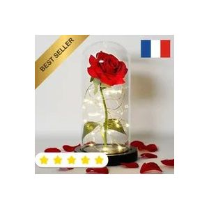 Rose &Eacute;ternelle LED Durable R&eacute;sistant sous D&ocirc;me Cadeau Saint Valentin No&euml;l M&egrave;res - Neuf