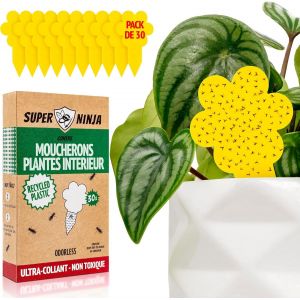 Super Ninja Piège à Moucheron Fongique, Lot de 30, Anti Moucherons d'Intérieur Ultra Efficace, Piège Jaune Collant Plante, Attrape Moucheron Non Toxique, Éco, Convient Mouche à Fruits, Jusqu`à 3 Mois - Neuf