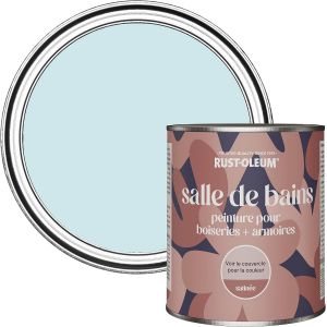 Peinture Bleue R&eacute;sistante &agrave; l'humidit&eacute; pour Meubles de Salle de Bains,Finition Satin&eacute;e-Eucalyptus 750ml - Neuf