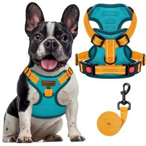 Eryi-Harnais Chien, Harnais Anti Traction Pour Chien Bande Réfléchissante, Réglable Avec Attache Devant Harnais Pour Chiens De Petite Moyenne (Bleu, Xs) - Neuf
