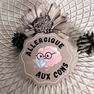 sticker personnalisé - humour - allergique aux cons - fait main - Neuf