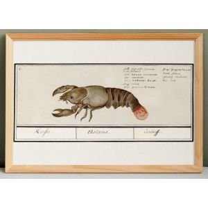 Petite affiche sur l'&eacute;crevisse, d&rsquo;apr&egrave;s une gravure ancienne de 1610. - Neuf