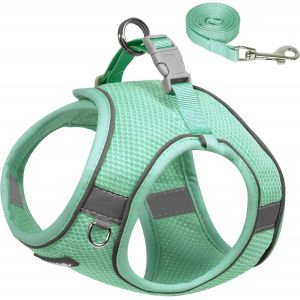 Kalanka-Aiitle Harnais Pour Chien Anti-&Eacute;tranglement R&eacute;glable Avec Laisse, Maille Respirante Et Boucle &Agrave; D&eacute;gagement Rapide Pour Promenade, Dressage, Course &Agrave; Pied, Turquoise Taille L - Neuf