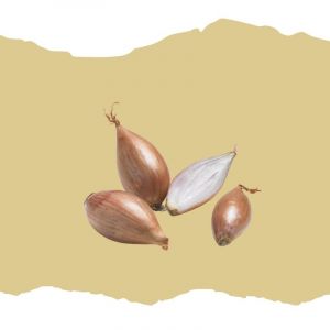 &Eacute;chalote Longor 250g - Neuf