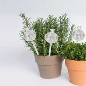 Lot de 3 boules d'arrosage en verre pour plantes en pot - Pour les vacances - Syst&iquest;&iquest;me d'arrosage automatique goutte &iquest;&iquest; goutte pour plantes d'int&iquest;&iquest;rieur et d'ext&iquest;&iquest;rieur - Neuf