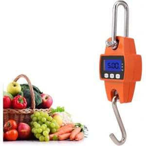 Balance à grue - Mini balance électronique numérique LCD portable suspendue, balance de jeu, balance à grue 300 kg avec crochet pour valise de voyage, pêche, chasse en plein air, ferme, gros poissons - Neuf