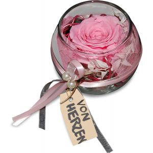 Rose conserv&eacute;e &agrave; la main dans un verre &iquest; V&eacute;ritable rose &eacute;ternelle dur&eacute;e de vie minimum 3 ans &iquest; D&eacute;coration &eacute;l&eacute;gante avec rose infini &iquest; Cadeau parfait pour toutes les occasions (rose) - Neuf
