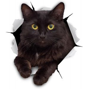 Autocollants 3D Chat - pack de 5 - Stickers muraux Chat noir - chat Amoureux - Neuf