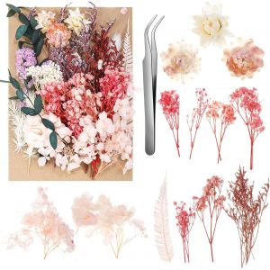 Fleurs S&eacute;ch&eacute;es Rose,Fleurs Sechees Naturelles Vraies Fleurs Press&eacute;es S&eacute;ch&eacute;es Decoration Pour Scrapbooking Bougie Bricolage R&eacute;sine &Eacute;poxy Floral Fabrication Artisanale - Neuf