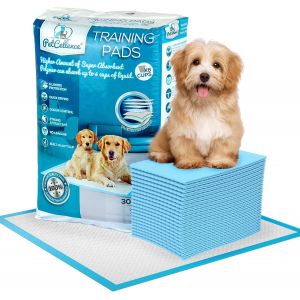 Jgd-Alaise Pour Chien Lot De 30 - Grande 60x60 Cm Ultra Absorbant Tapis Educateur Chien, Avec Bandes Adh&eacute;sives Antid&eacute;rapantes - Protection &Agrave; 6 Couches - Alese Jetable Pour Chiens Et Chats - Neuf