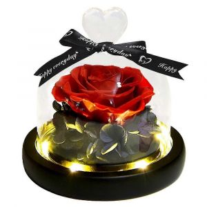 Décoration de rose de fleur éternelle avec lampe couvercle en verre d'amour rose fleur séchée cadeau de vacances cadeau d'anniversaire pour la famille et les amis - Neuf