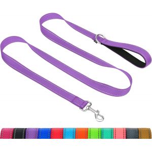 Jgd-Taglory Laisse De Dressage R&eacute;fl&eacute;chissante Pour Chien, Poign&eacute;e Rembourr&eacute;e En N&eacute;opr&egrave;ne Et Crochet En M&eacute;tal, 1.2m X 2.0cm Laisse En Nylon Pour Petits Chiens, Violet - Neuf