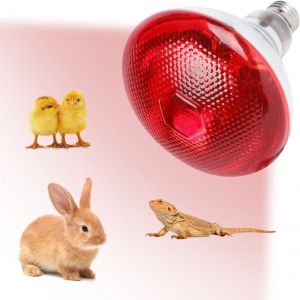 Lampe Chauffante Infrarouge 250w,Lampe Chauffante À Lumière Rouge,Lampe Chauffante Infrarouge E27,Lampe De Terrarium De Reptiles,Pour Élevages De Poulets,Porcs,Chiens,Poulets - Neuf