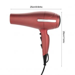 Seche-Cheveux Professionnel A Temperature Constante Pour Salon Et Maison - Neuf