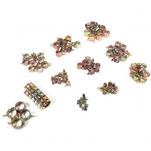 Lot de 100 pinces &agrave; ressort pour tuyaux d'arrosage,10 tailles,pour automobiles - Neuf