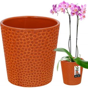 Pot De Fleur Rond En C&eacute;ramique Moutarde Fonc&eacute;e &iquest; 12 Cm|Cache Pot C&eacute;ramique|Pot C&eacute;ramique Plante|Pot De Fleur C&eacute;ramique|Pot De Fleur En C&eacute;ramique|Pot De Fleur C&eacute;ramique|Pot Pour Orchid&eacute;es - Neuf